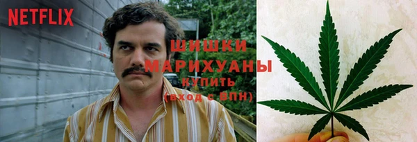стаф Володарск