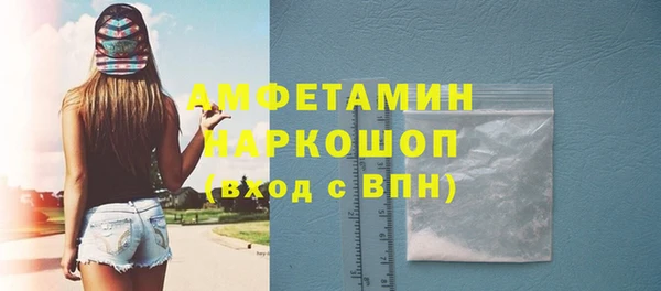 индика Вязьма