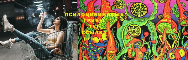 прущая мука Вязники
