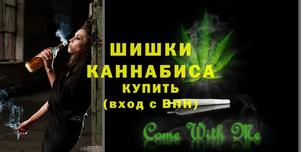 индика Вязьма