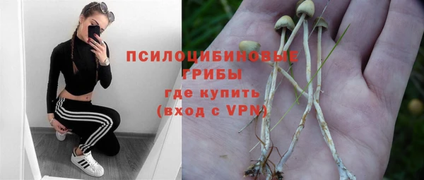 стаф Володарск