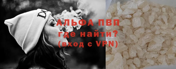 индика Вязьма