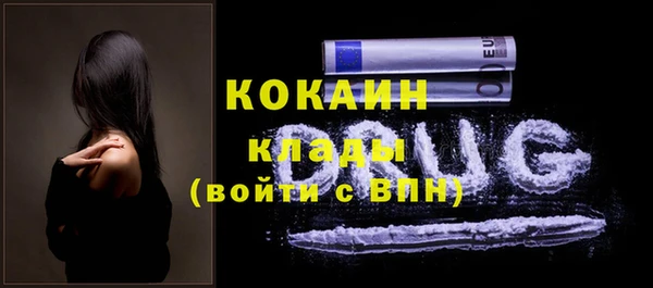 прущие крисы Вяземский