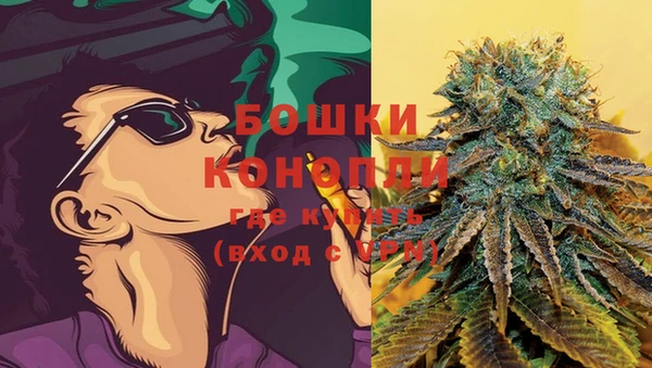 индика Вязьма