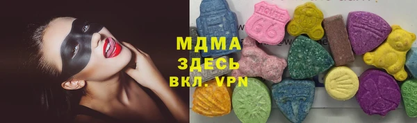 индика Вязьма