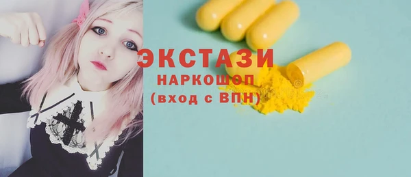 индика Вязьма