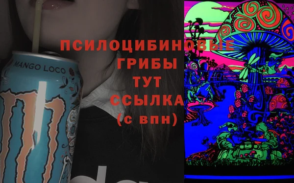 индика Вязьма