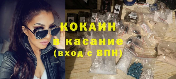 индика Вязьма
