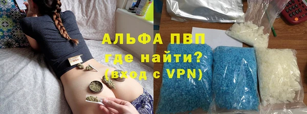 индика Вязьма