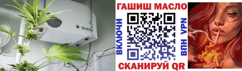 Купить закладки  Великий Новгород  Дистиллят ТГК THC oil 