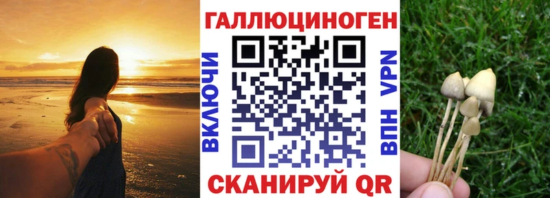 Купить закладки  Великий Новгород  Галлюциногенные грибы Psilocybe 